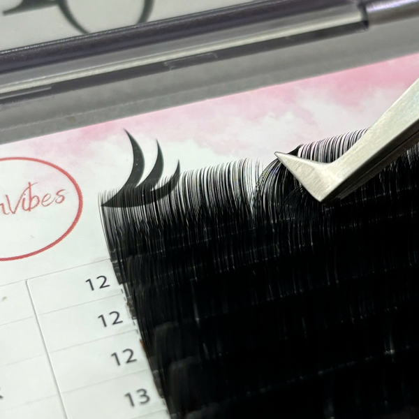 Camellia lashes for Wispy/manhua  lashes extensions