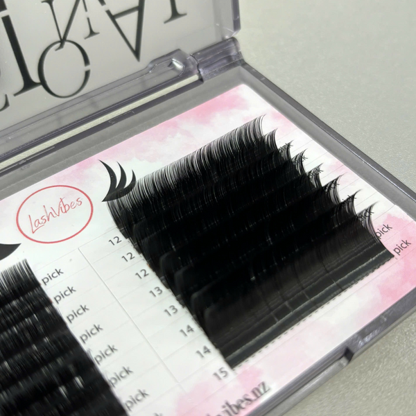 Camellia lashes for Wispy/manhua  lashes extensions
